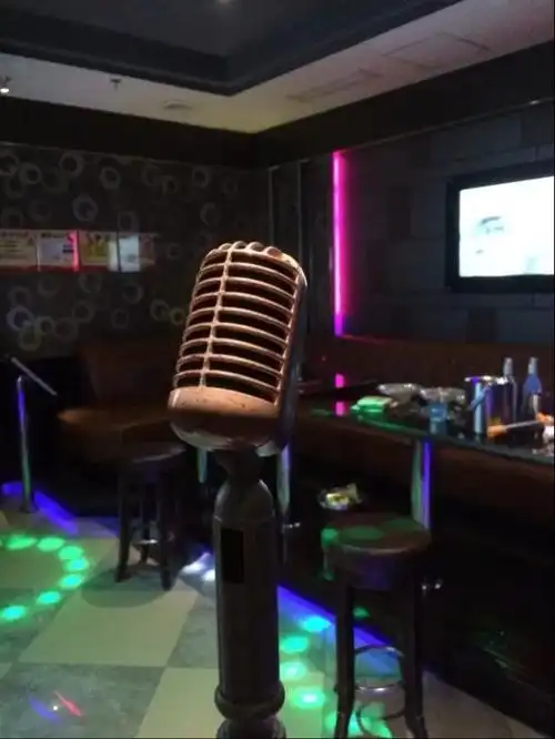 个电话,始终没有成效,直到最后,才有一名女性来到包厢,跟他们一起唱歌