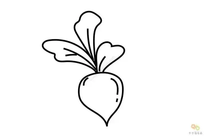 兰花萝卜简笔画集