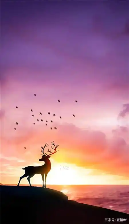 2021最新好看风景手机壁纸_唯美意境壁纸皮肤高清图片