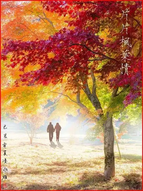 世界十杰摄影师凌永雄摄影作品诗配画(2)~华人喜爱的摄影师第66期(4)