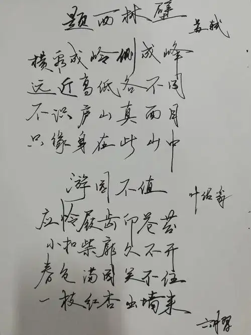 习字282古诗钢笔字72合集27
