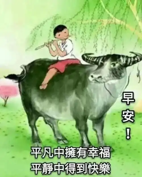 微信朋友圈特漂亮的早上好图片 早上好问候句子