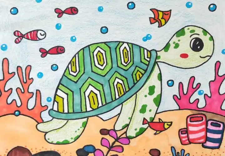 蓝天美校课程之海龟