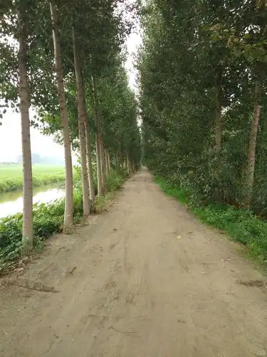 空气清新的田间小路