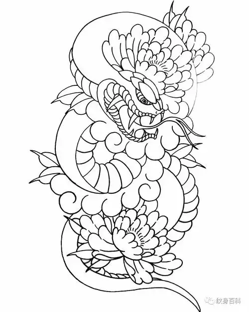 花臂割线手稿实用