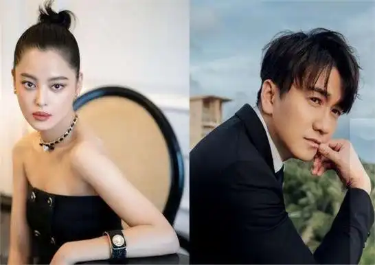 这个翟天临并非别人,正是辛芷蕾的男友.