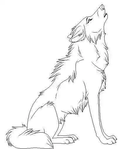 幼儿绘画卡通狼的简笔画图片 手绘狼的画法步骤图简单凶狠的狼简笔画