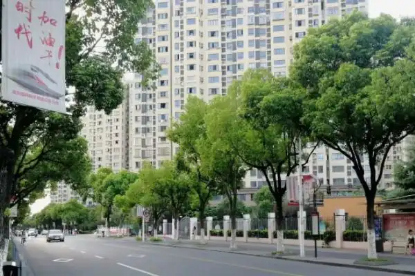 上海浦东新区高东镇街景,全国文明乡镇之一