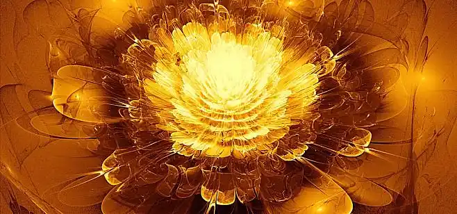 金色莲花大气高雅高贵背景质感海报banner图库png图片网图片素材背景