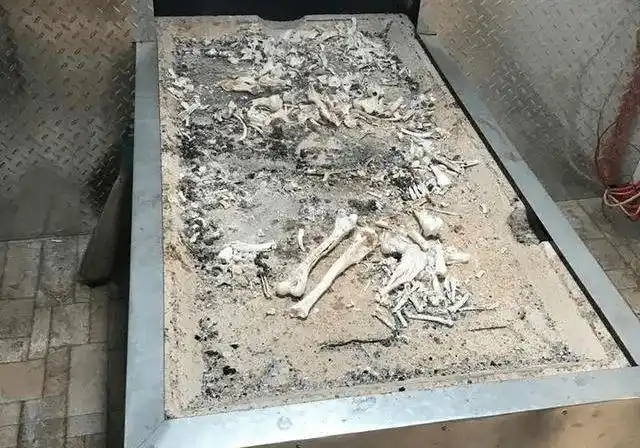 尸体|火化|骨灰|锤子_网易订阅