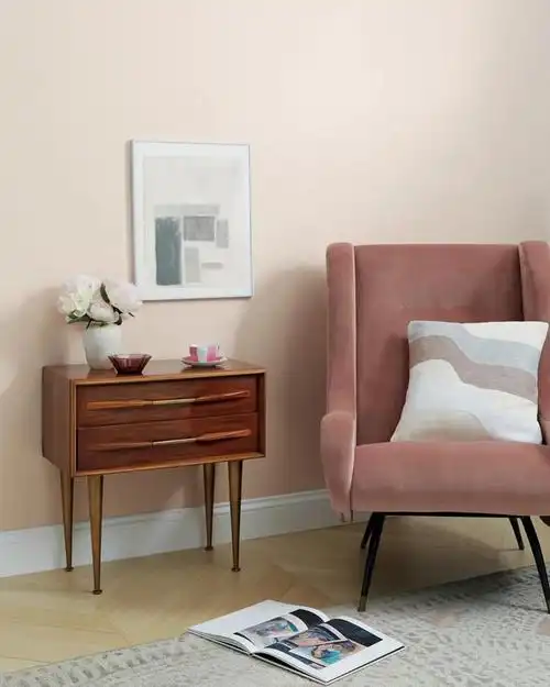 2021年最热门的5种墙面流行色津色色彩