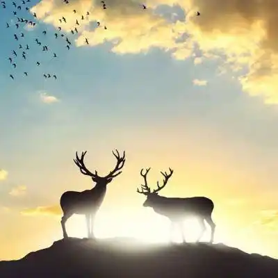 微信头像风景图片大全 带来好运最吉利的好看头像 - 微信头像 - 潮人