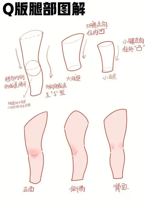 软乎乎的q版腿型画法附不同角度姿势