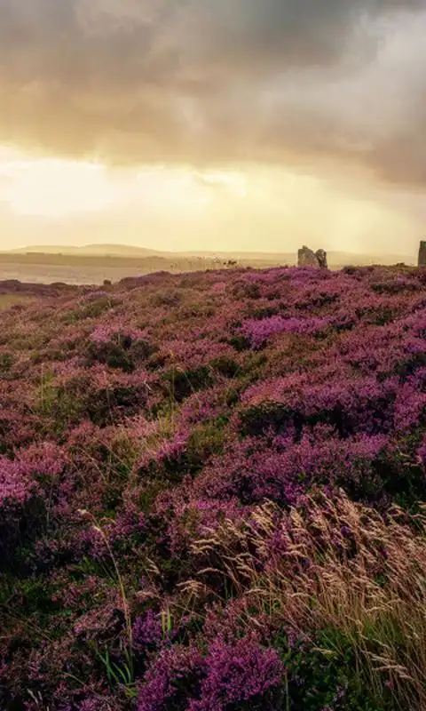 风景唯美高清手机壁纸