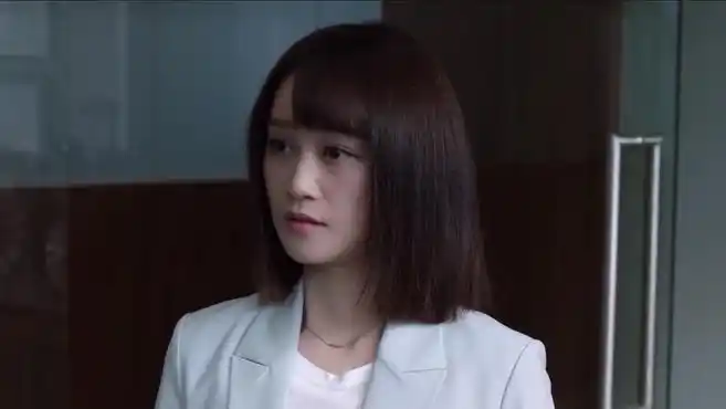 《精英律师》分集剧情速看,靳东蓝盈莹演绎律政职场故事