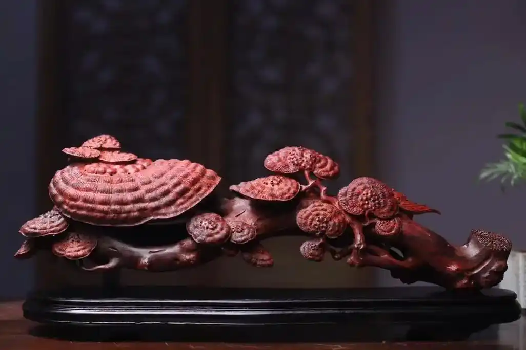 印度小叶紫檀摆件.灵芝|如意  长46宽11高12 重3.4 - 抖音