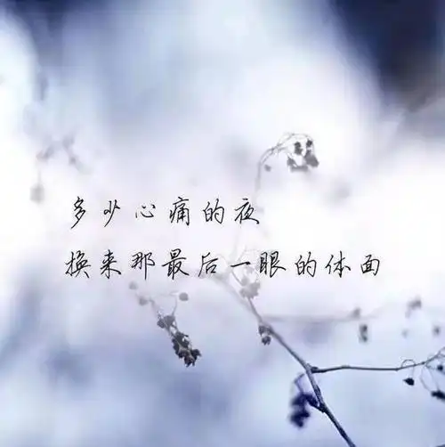 一个人心碎流泪的句子句句伤感虐不哭你算我输