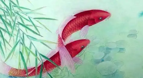 红鲤鱼简笔画 红鲤鱼简笔画图片彩色