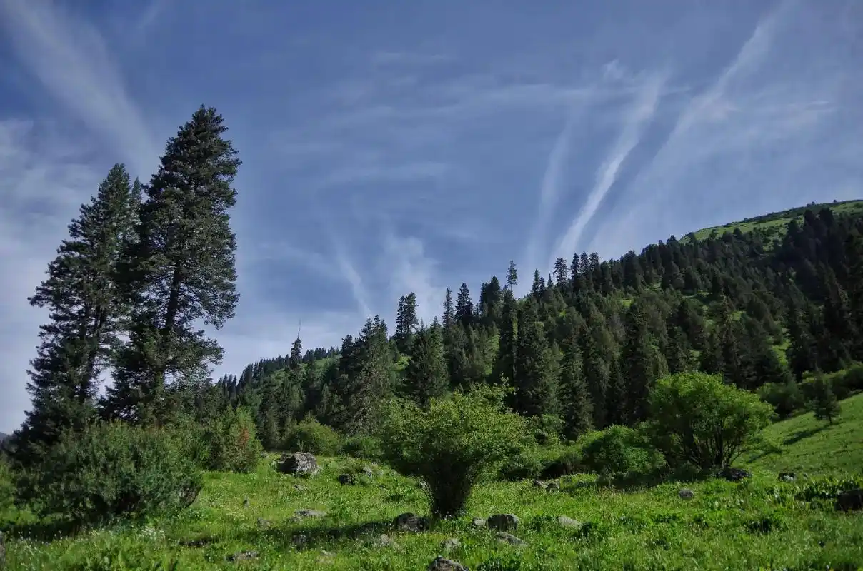 小众绝美的太阳河高山峡谷,位于四川阿坝藏 - 抖音