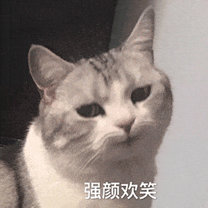 300_300gif 动态图 动图