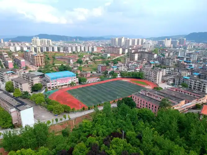 p>临武二中,始创于1981年,原名西城中学,1992年搬到现址.