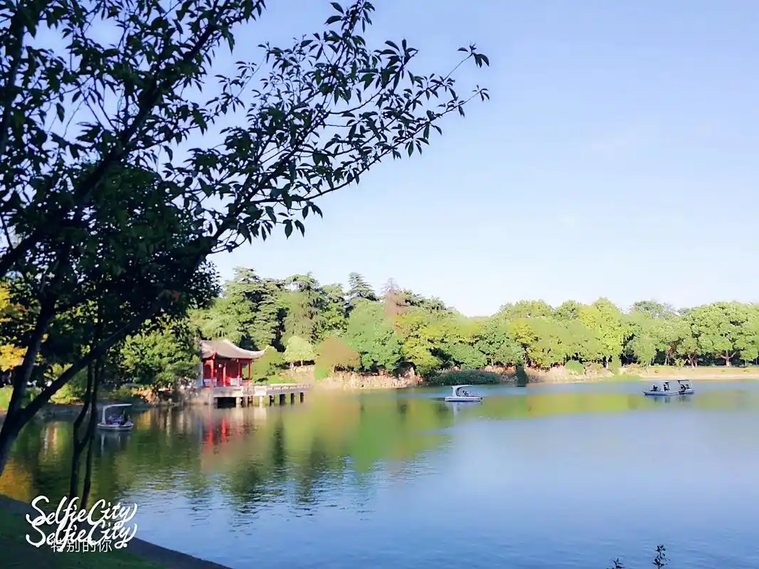 南京绣球公园风景区@指间沙#抖音图文来了 #让喜欢的事成为生 - 抖音