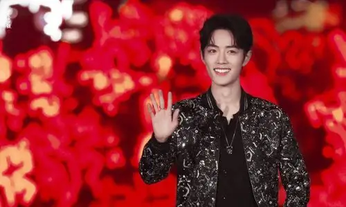 肖战,今年也要给你一片红海_高清图集_新浪网