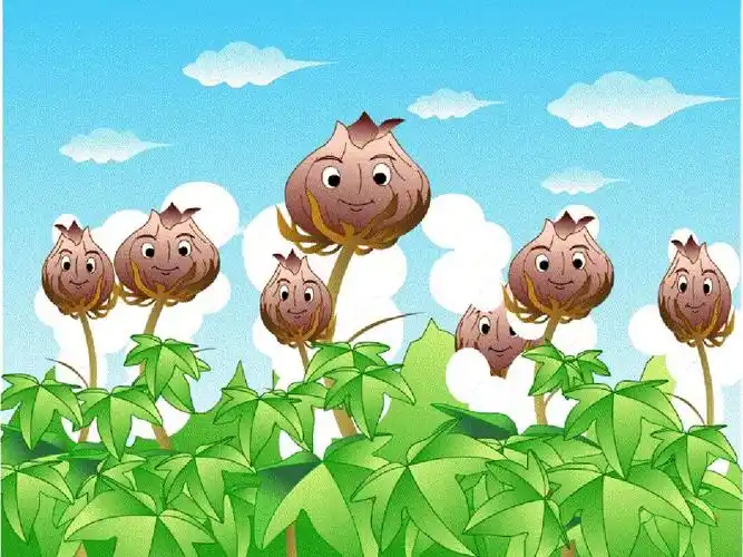 九年义务教育小学语文第二册棉花姑娘课件ppt