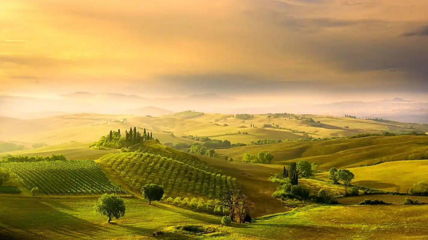 绿色护眼自然美景图片桌面壁纸高清大图预览1920x1080_风景壁纸下载