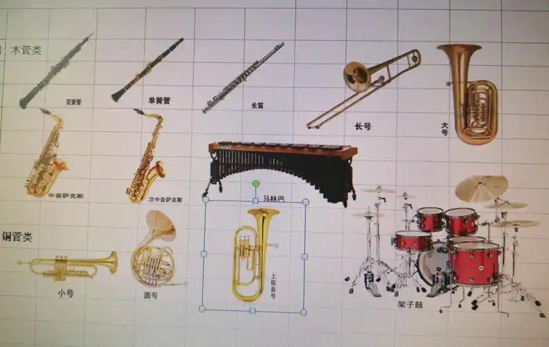 供乐团同学选择的乐器