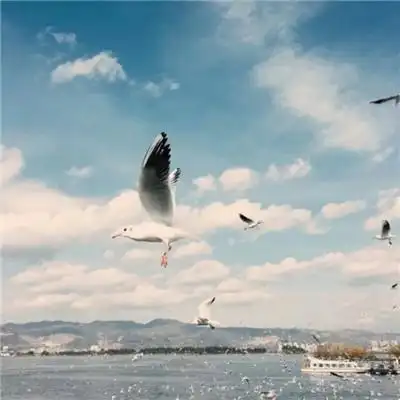 男人好运风景微信头像 以时光为眸