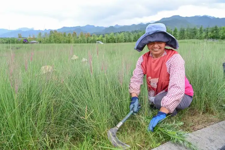 荒山变景区 农民变工人