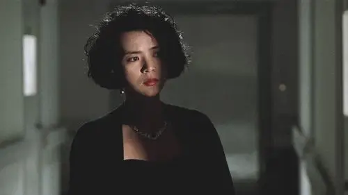 《至尊无上》:江湖上,兄弟情只有兄弟懂!