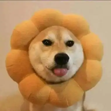 2021最新版的爆笑微信头像合集