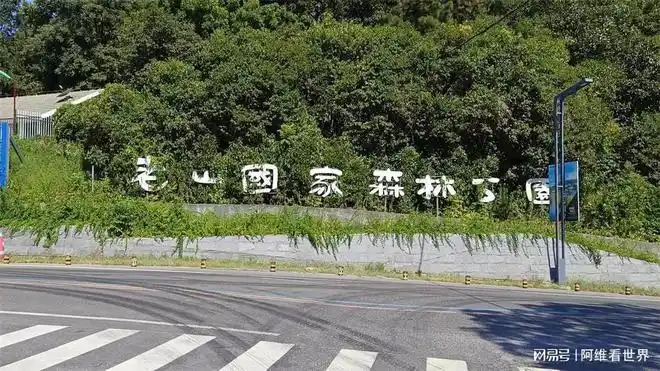 南京老山佛手湖路全线贯通,4200米长的"森林隧道"正式亮相