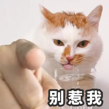 猫猫搞笑表情包图片_设计幽默搞笑图片_乐美图网