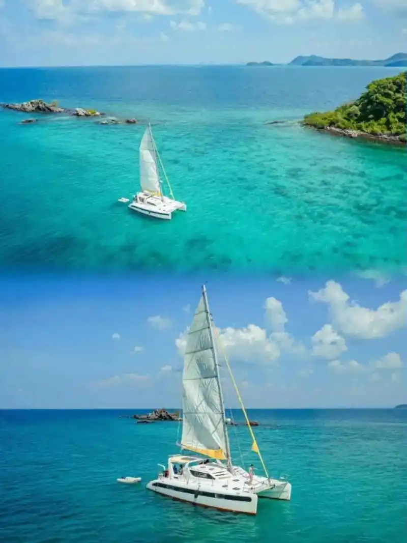 壁纸 桌面 1440_1920 竖版 竖屏 手机