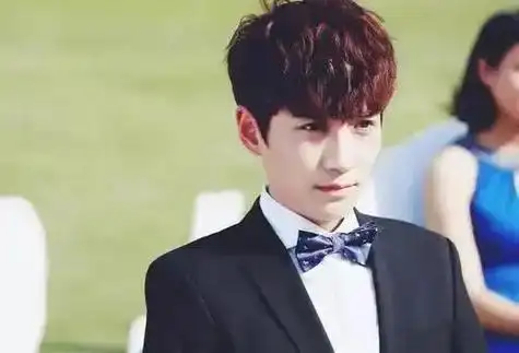 在知乎平台上,关于朱一龙的讨论中,一条备受推崇的评论脱颖而出,它