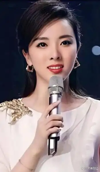 却以毫无畏惧挑战的姿态登上了中央电视台综艺频道的《挑战主持人》