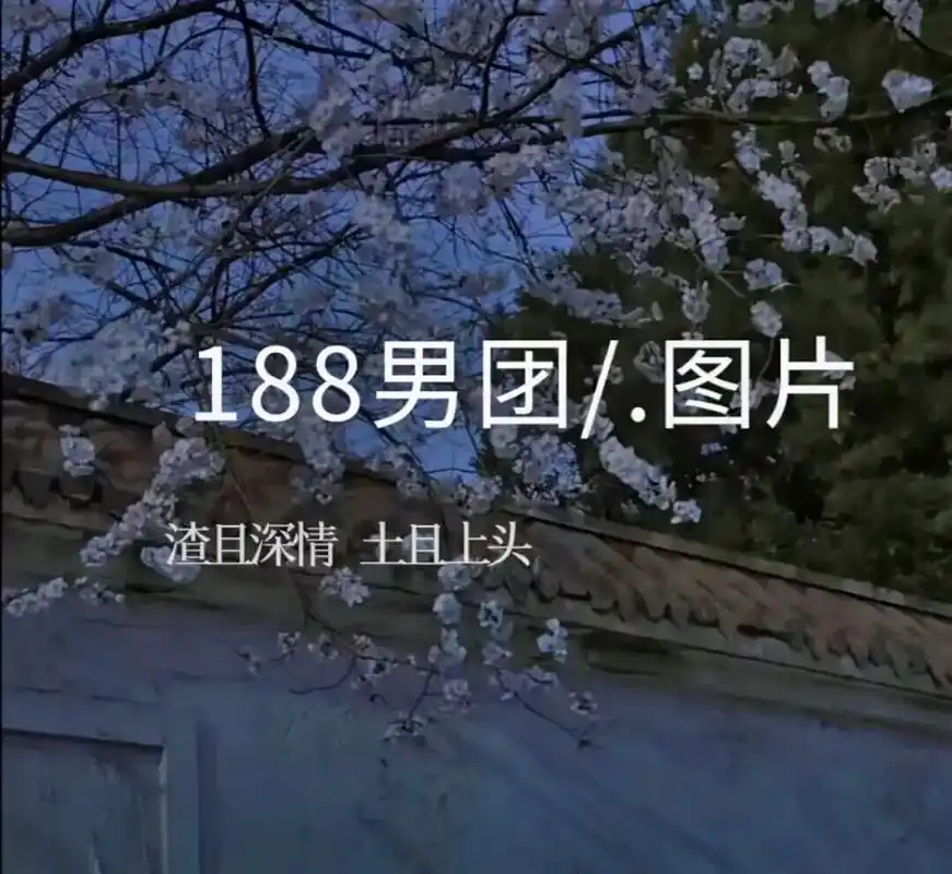 188男团  小辉的鼻子,何故的青春,周翔的命,秀秀的耳朵 - 抖音