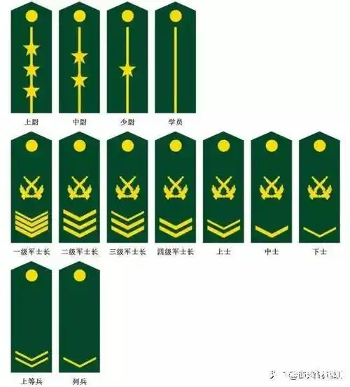 中国的军衔等级及标志(军衔军职对应表) 中国军衔等级划分