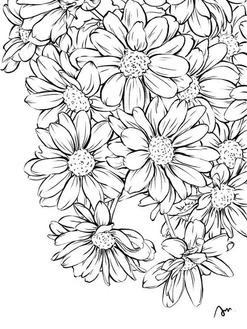 ipad插画花卉紫色小雏菊附线稿