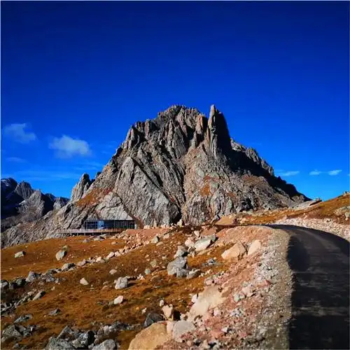 抖音图片最火头像风景