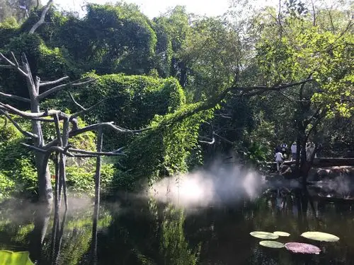 厦门万石植物园