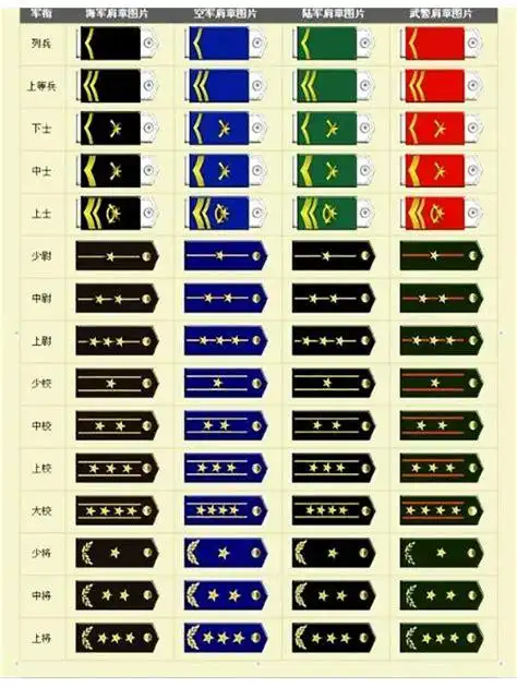 公安警察警衔等级肩章夏季警察警衔等级肩章2022已更新今日资讯