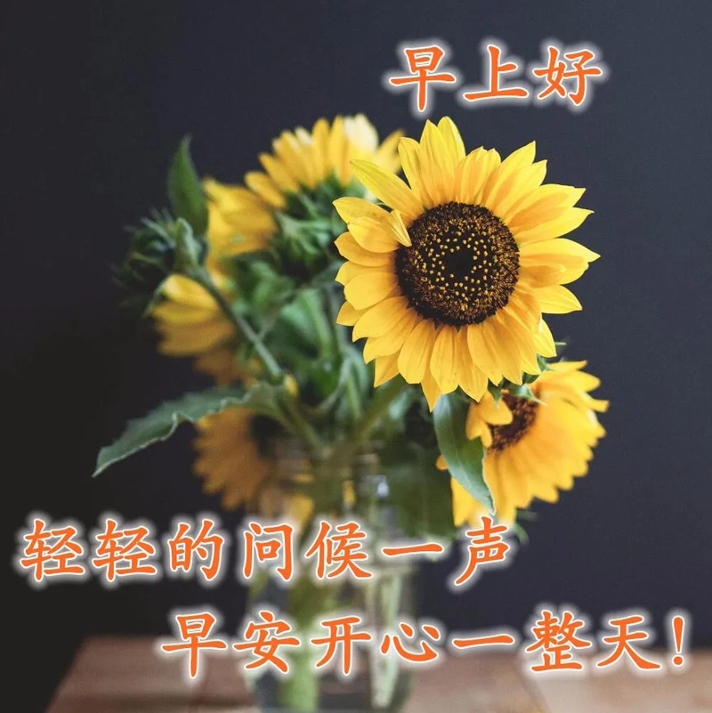 早上好,轻松一夏,美好早晨,最美早安祝福语图片表情大全