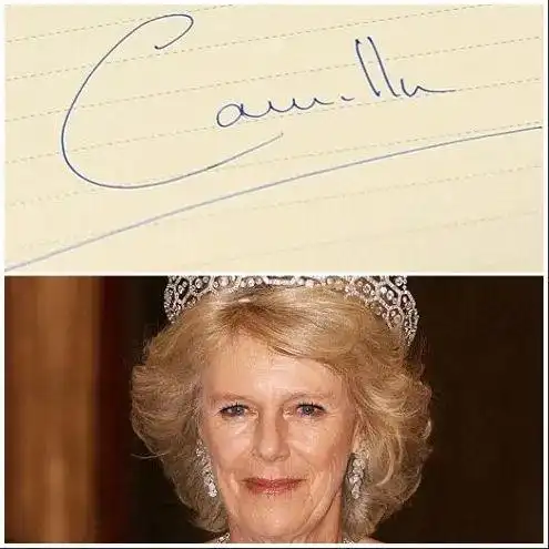 英国王室成员签名什么样儿从曲线草书到完整工整的都有