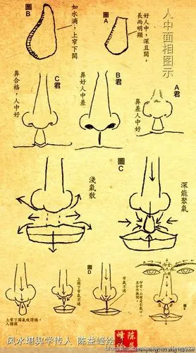 细谈人中与命运吉凶 - 陈益峰 - 陈益峰/中国著名建筑风水师/北京家居