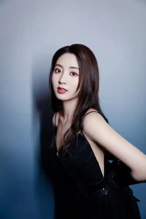 性感美女明星邢菲活动图片56