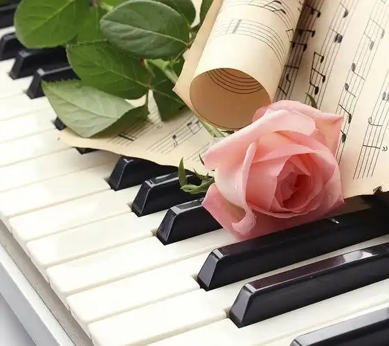 【视觉中国】钢琴-1.0.0.1.jpg (2160×1920)